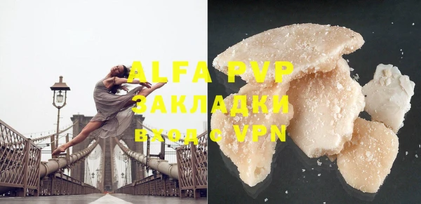 амф Корсаков