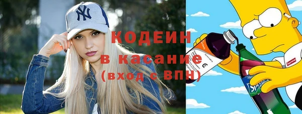 амф Корсаков
