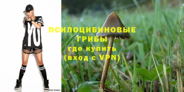 амф Корсаков