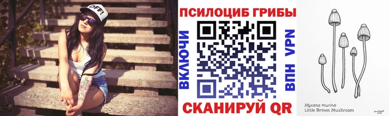 Купить  Североморск  Псилоцибиновые грибы ЛСД 